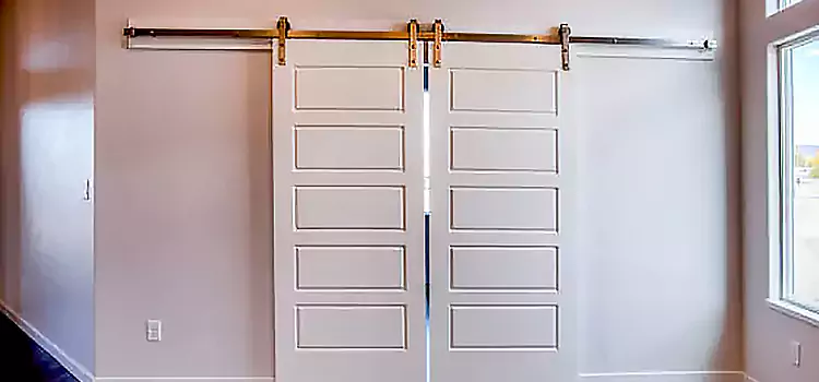 Glass Barn Door with Installation Hardware Kit Hercules