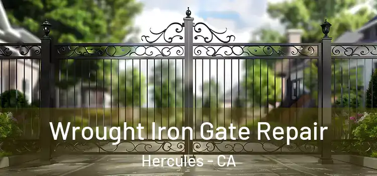 Wrought Iron Gate Repair Hercules - CA